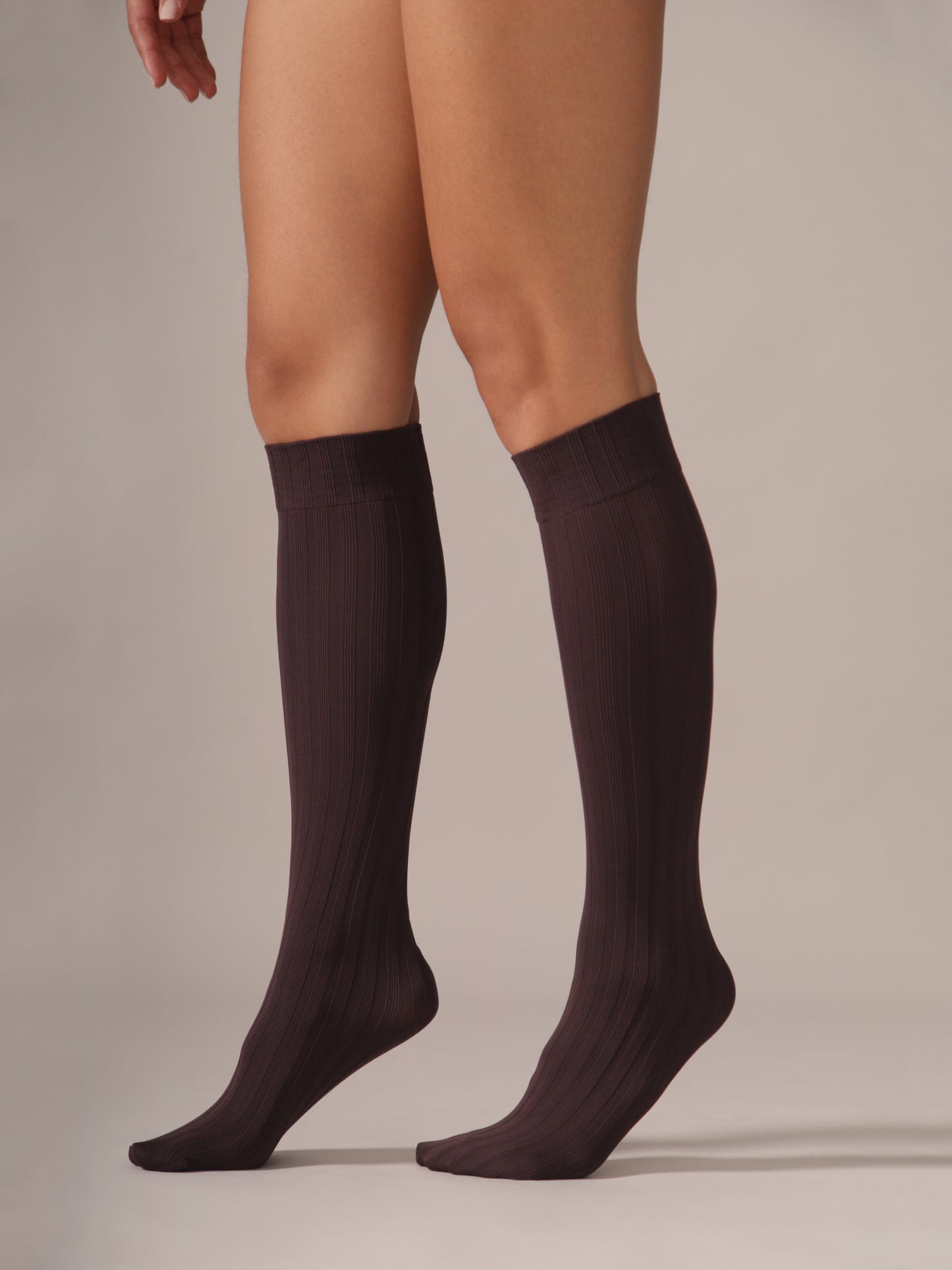 Chaussettes côtelées opaques - Prune